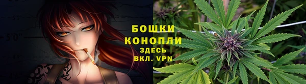 дмт Кукмор