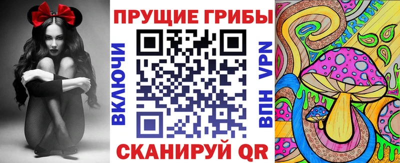 Галлюциногенные грибы мухоморы  Купить где  Никольск 