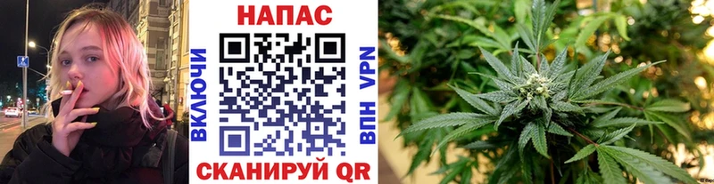 Конопля Amnesia  Купить где  Никольск 